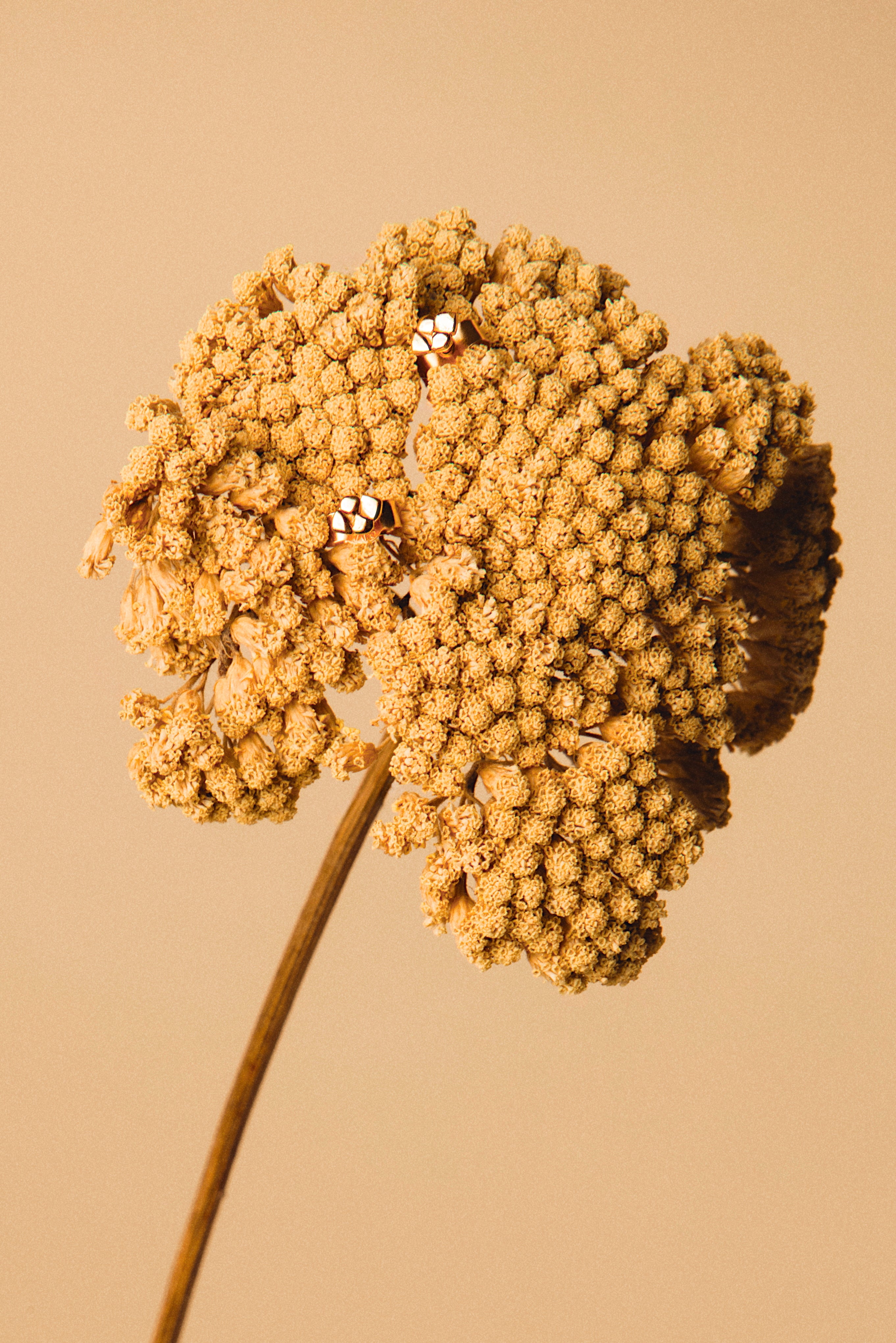 Boucles d'oreilles CHANCE
